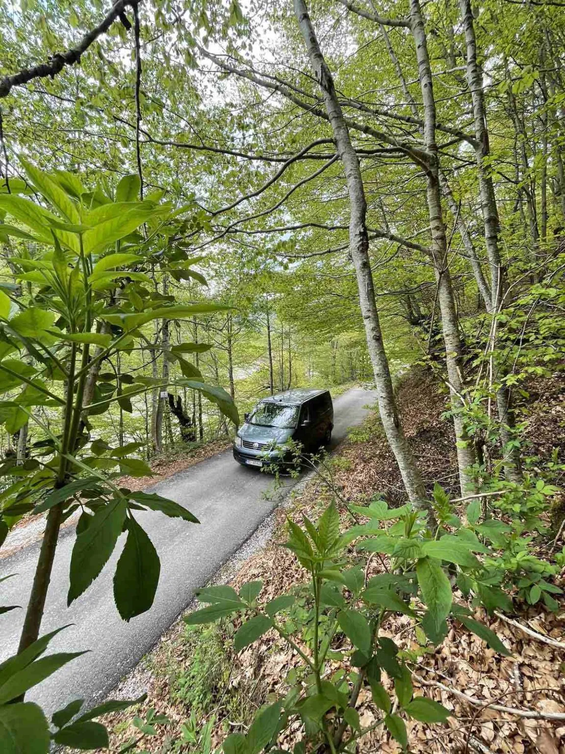 Campers Montenegro gallery photo 22